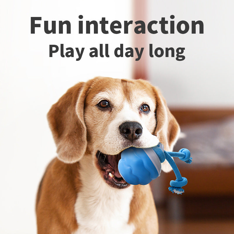 2025 Smart Rolling Balls for Dogs Electric Moving Chew Ball Interactive Squeaky Dog Toy Ball with Rope