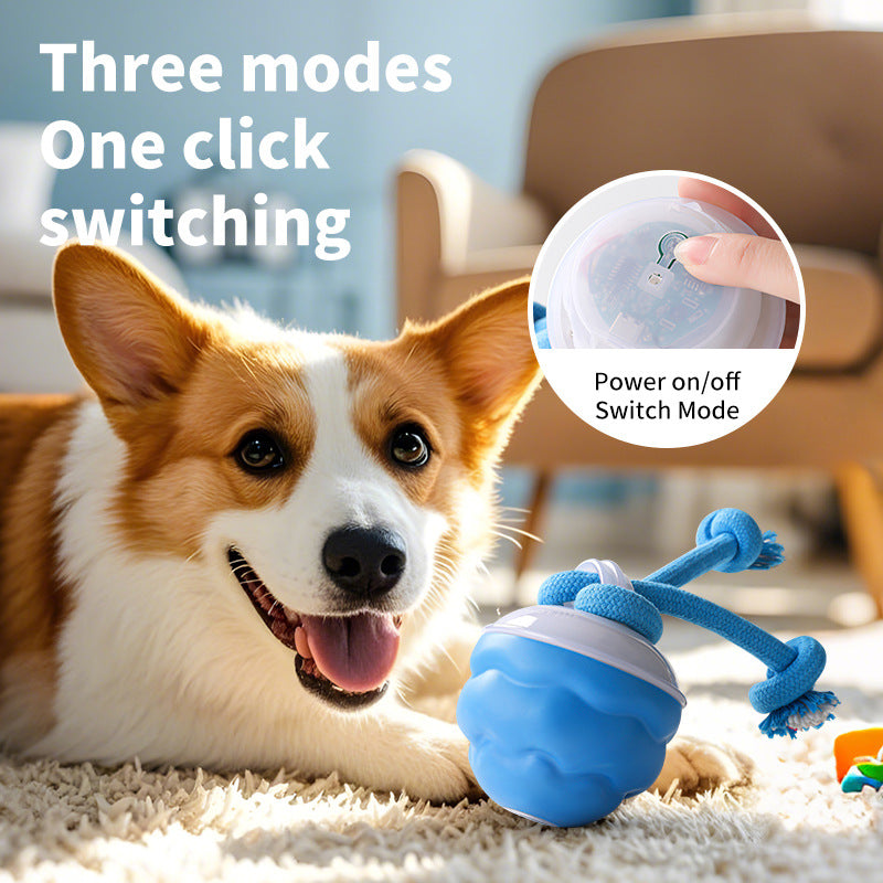 2025 Smart Rolling Balls for Dogs Electric Moving Chew Ball Interactive Squeaky Dog Toy Ball with Rope