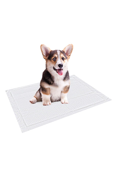 Dog and Puppy Training Pads with Fast Moisture Absorption and Effective Water Lock