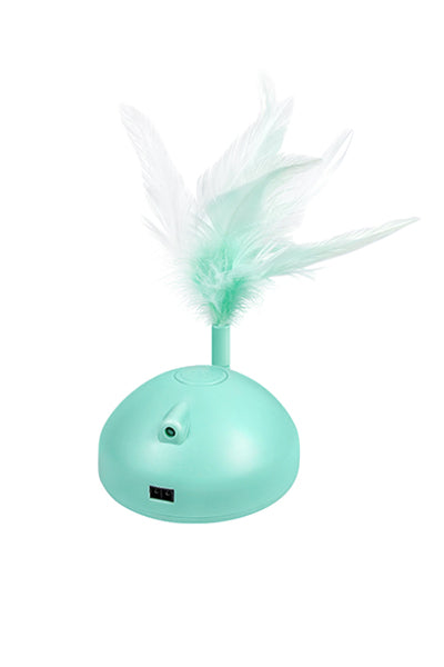 Automatic Pet Exercise Toys with LED