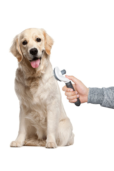 Self-cleaning Slicker Brush for Dogs and Cats